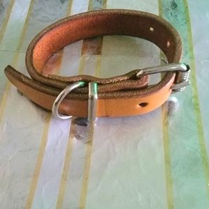 DOG COLLAR